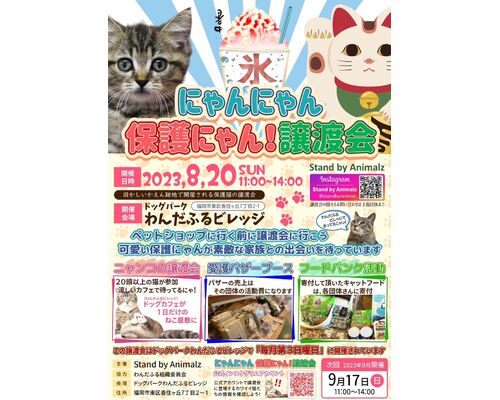 line_oa_chat_230809_132639