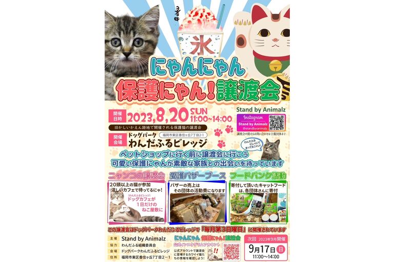 line_oa_chat_230809_132639