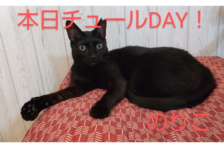 HORIZON_0001_BURST20230820171420532_COVER~2