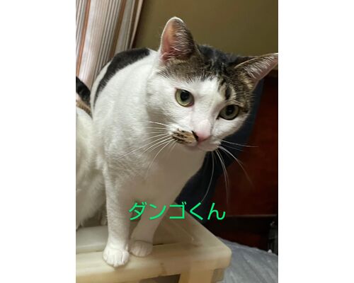 line_oa_chat_230915_122032~2