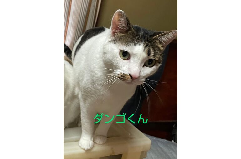 line_oa_chat_230915_122032~2