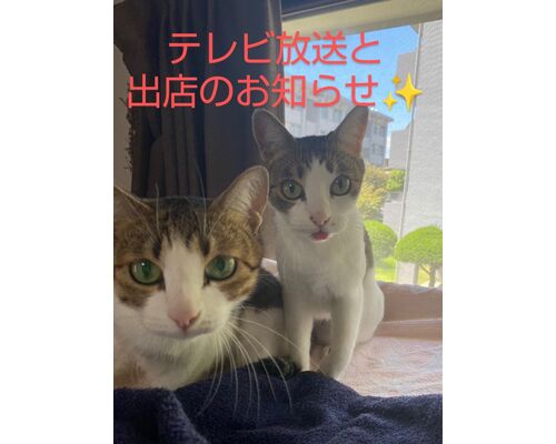 line_oa_chat_230909_194206~2