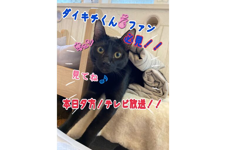1695353815133
