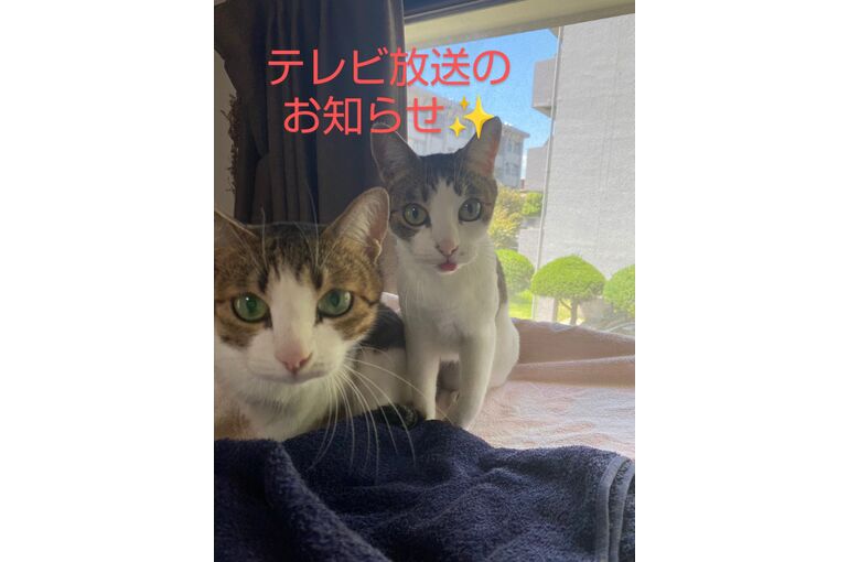 line_oa_chat_230909_194206~3