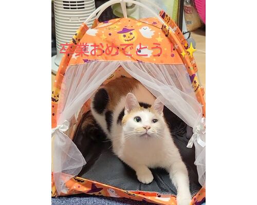 line_oa_chat_231114_114241~2