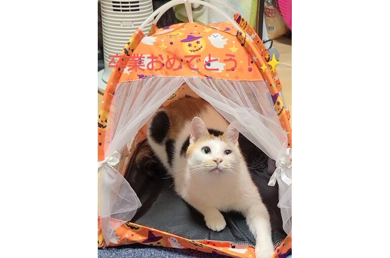 line_oa_chat_231114_114241~2