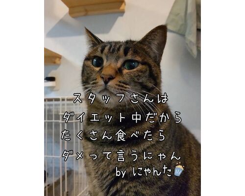 1703213636023