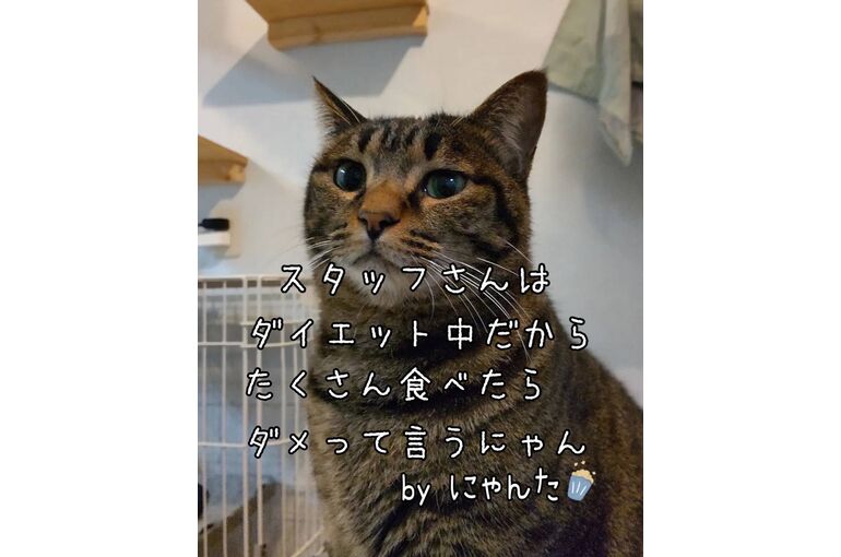 1703213636023