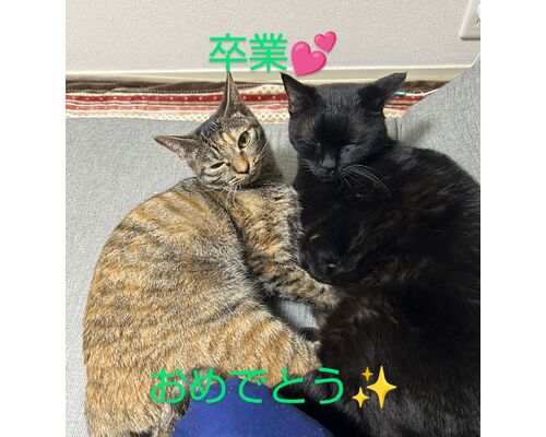 line_oa_chat_240223_074656~2