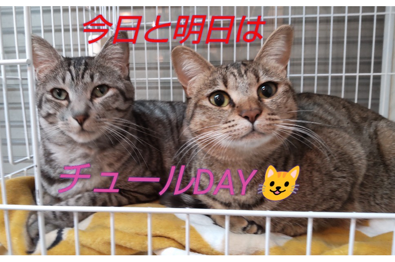 SnapMarkup_20242830_122814