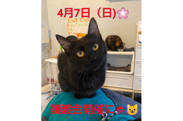 SnapMarkup_20245602_055654