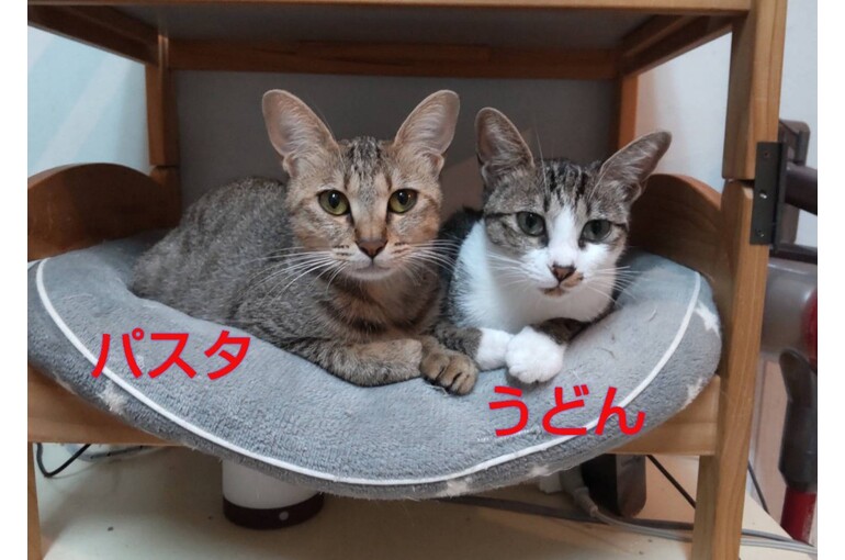 SnapMarkup_20242804_072813