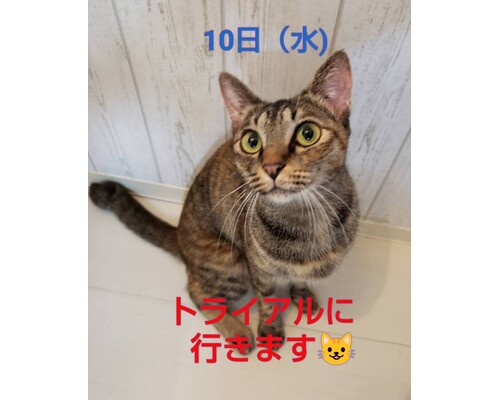 SnapMarkup_20243308_023344