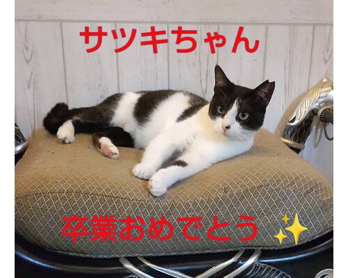 SnapMarkup_20243413_073442