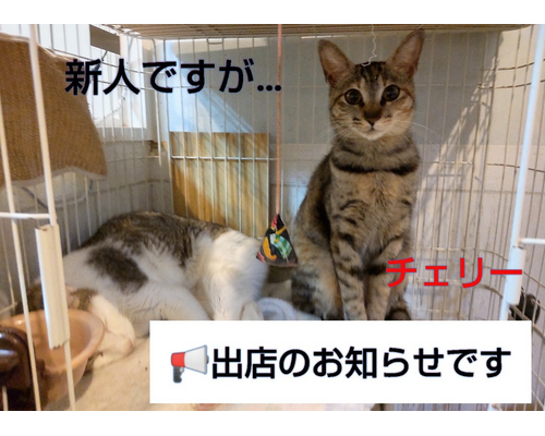 SnapMarkup_20244220_064242