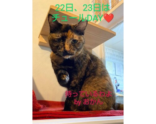 SnapMarkup_20242722_072759