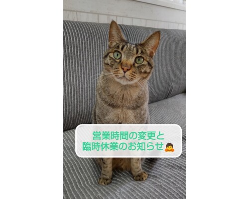 SnapMarkup_20244325_014311