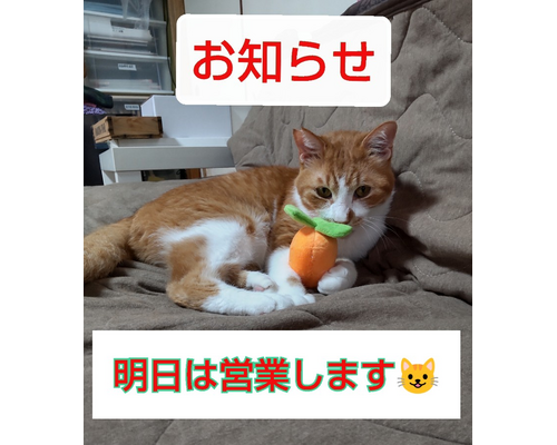 SnapMarkup_20241028_101032