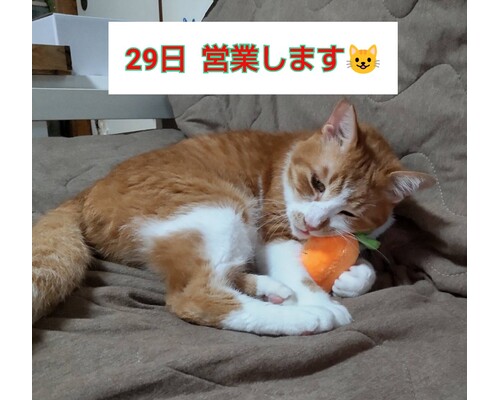 SnapMarkup_20244929_064928