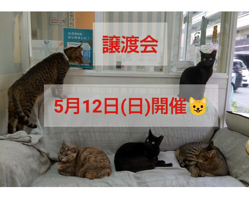 SnapMarkup_20244830_124844