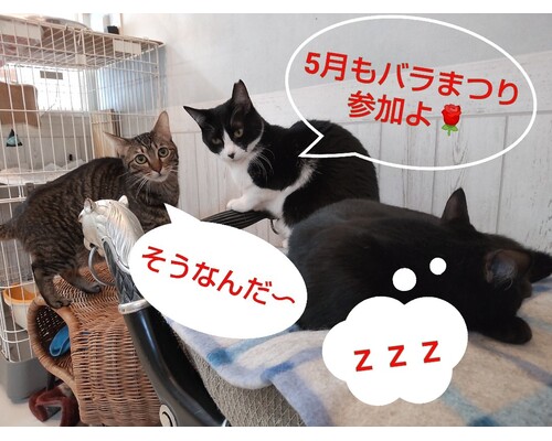 SnapMarkup_20245730_095706