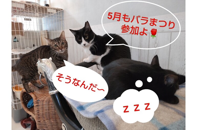 SnapMarkup_20245730_095706