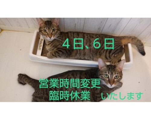 SnapMarkup_20240203_090257