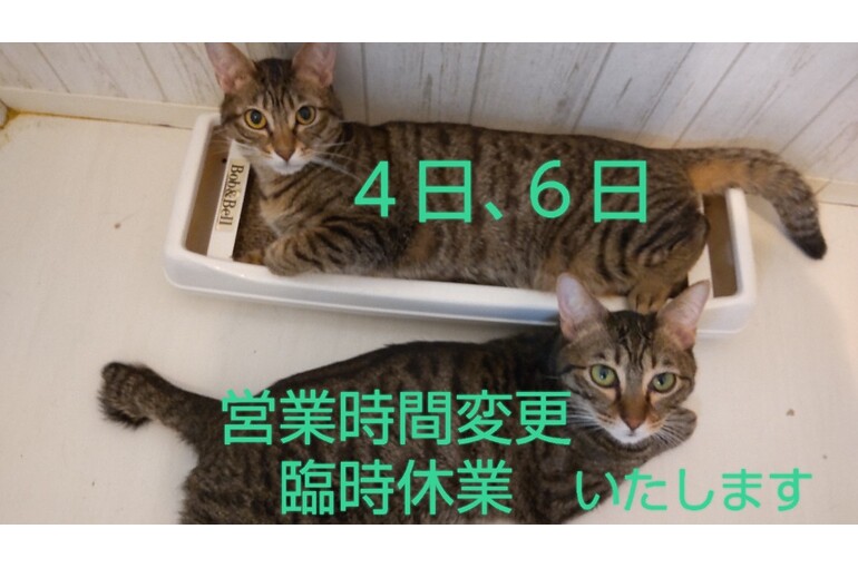 SnapMarkup_20240203_090257