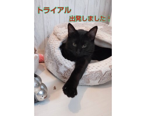 SnapMarkup_20244210_124224