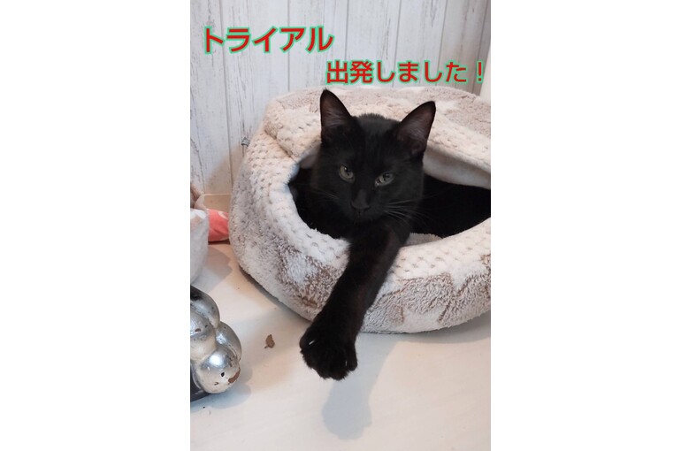 SnapMarkup_20244210_124224