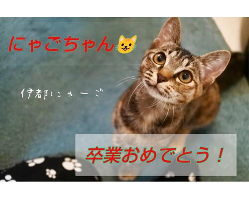 SnapMarkup_20241810_091818