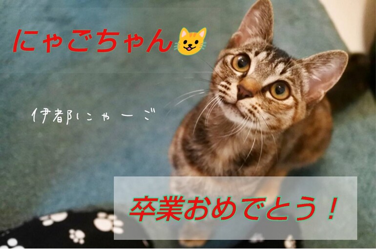 SnapMarkup_20241810_091818