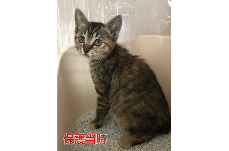 SnapMarkup_20241711_061728