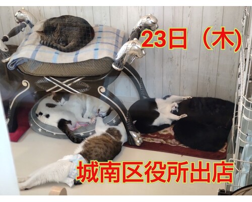 SnapMarkup_20241018_071006