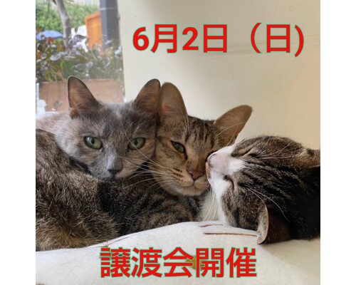SnapMarkup_20243529_103527