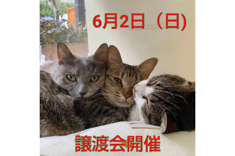 SnapMarkup_20243529_103527