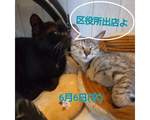 SnapMarkup_20240804_070816