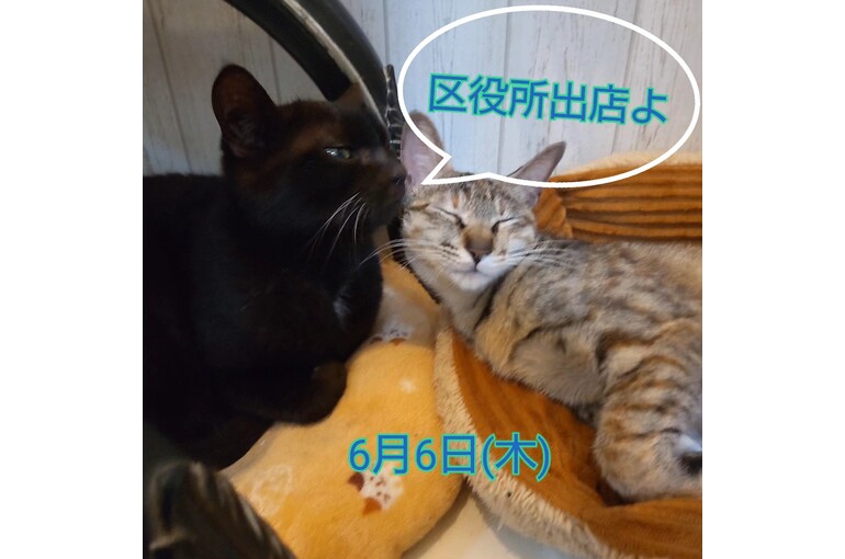 SnapMarkup_20240804_070816