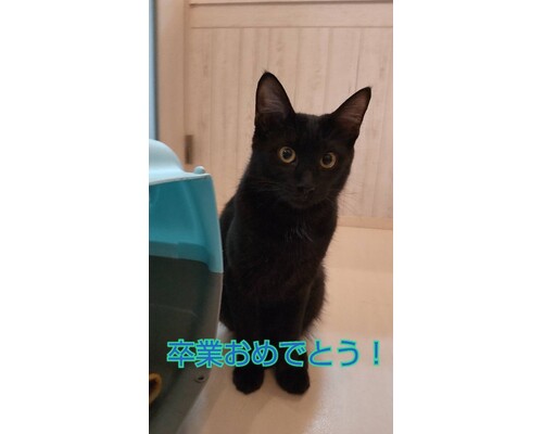 SnapMarkup_20242507_022522