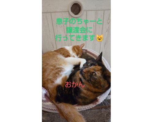 DSC_1320~4