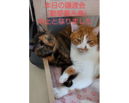DSC_3138~3