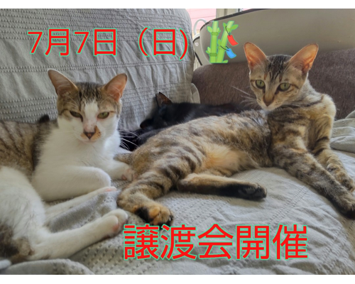 SnapMarkup_20244224_094259