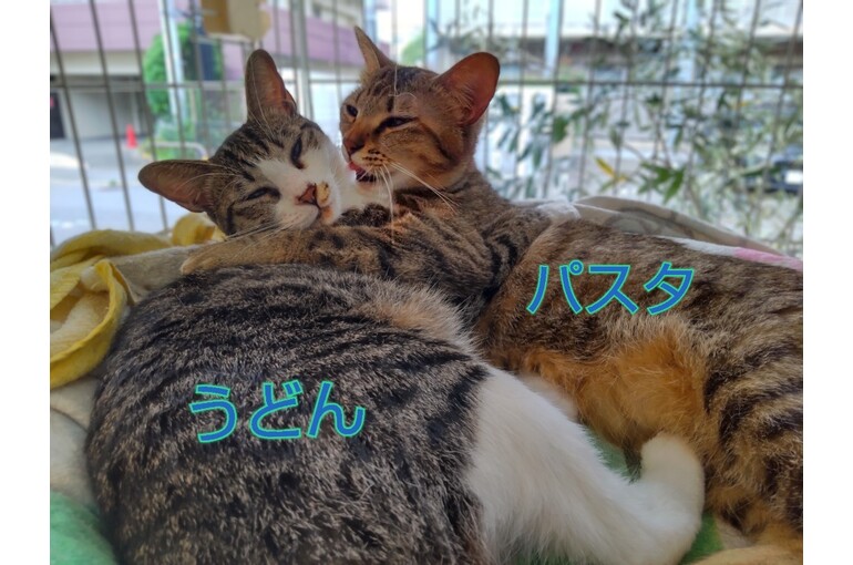 SnapMarkup_20241901_101913