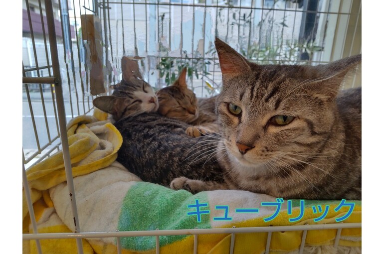 SnapMarkup_20242101_102129