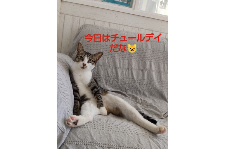SnapMarkup_20244709_084717