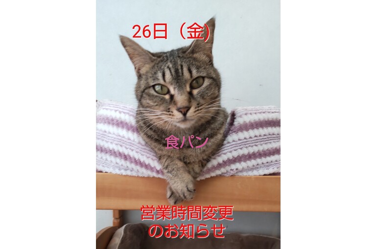SnapMarkup_20243626_063617
