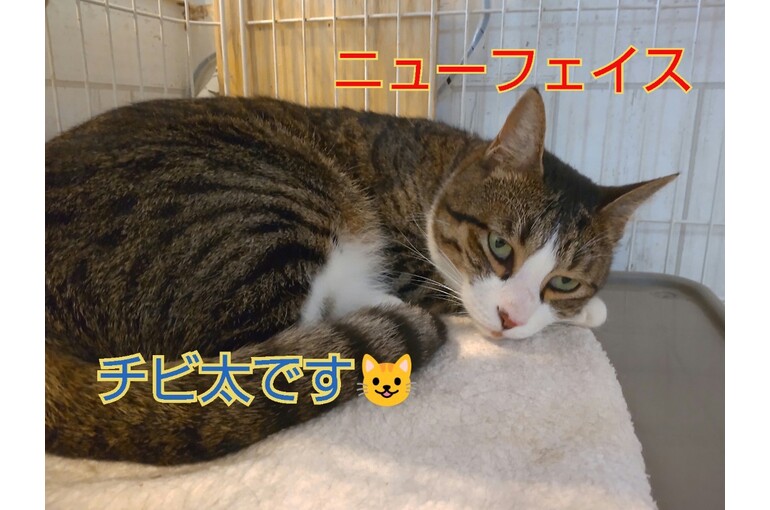 SnapMarkup_20243130_013110