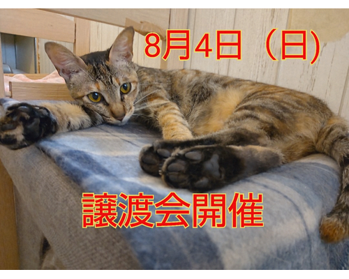SnapMarkup_20242802_032838~2