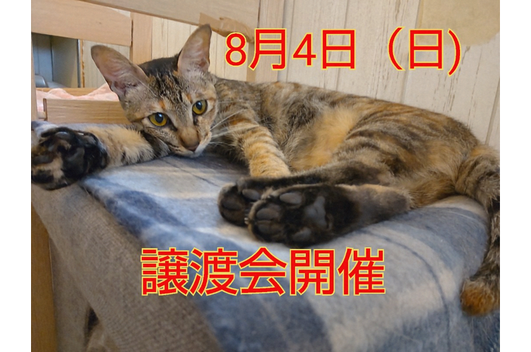 SnapMarkup_20242802_032838~2