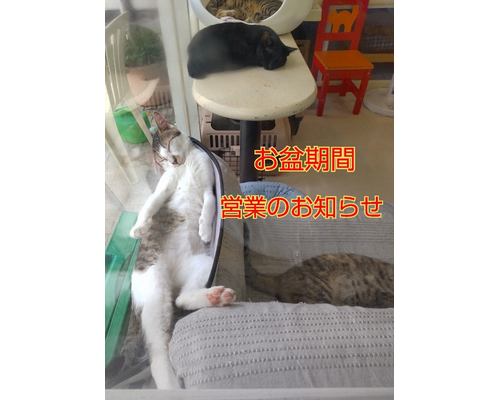 SnapMarkup_20242210_122247~2
